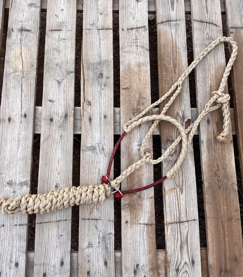 Custom Tan Lariat Halter
