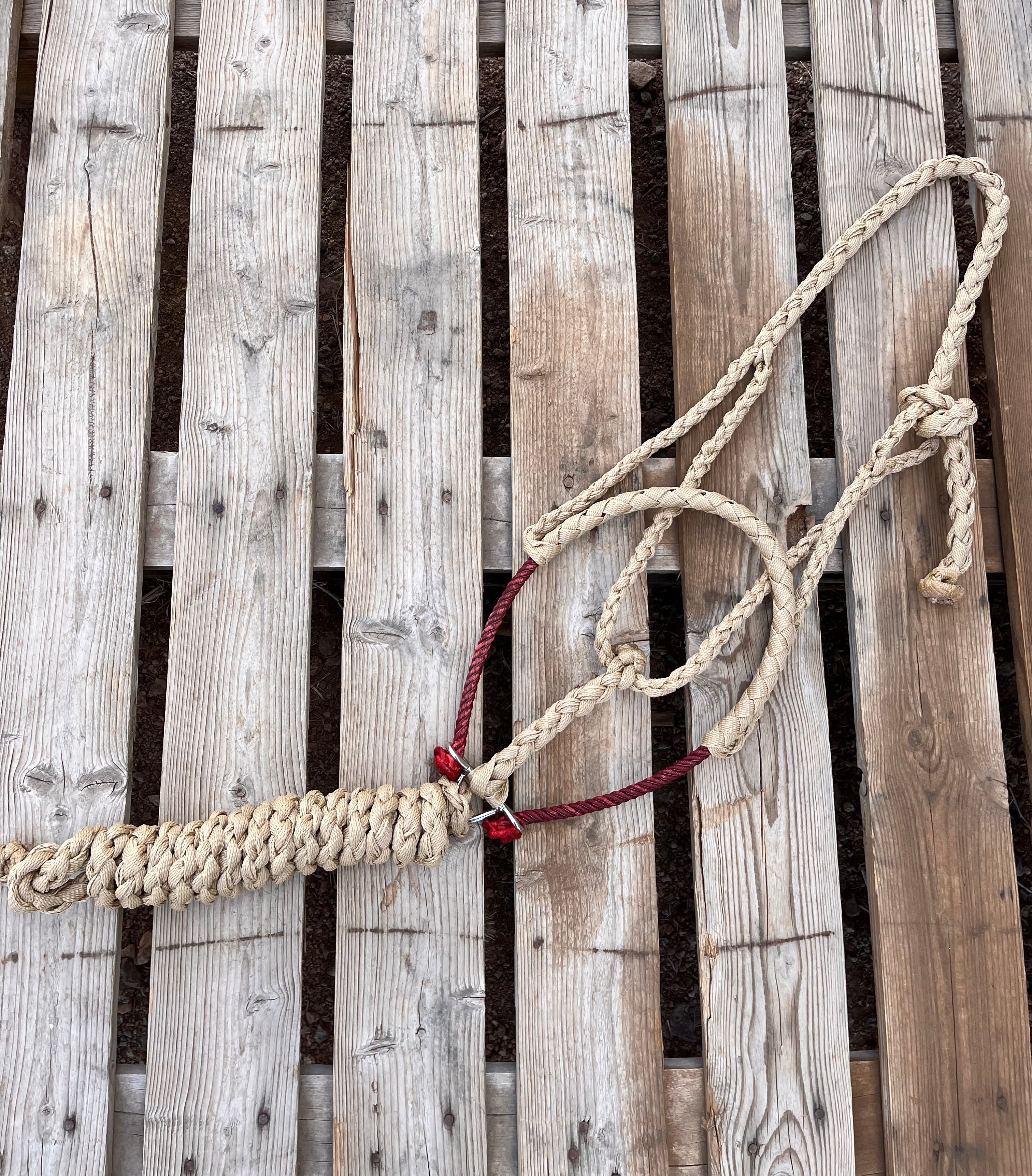 Custom Tan Lariat Halter