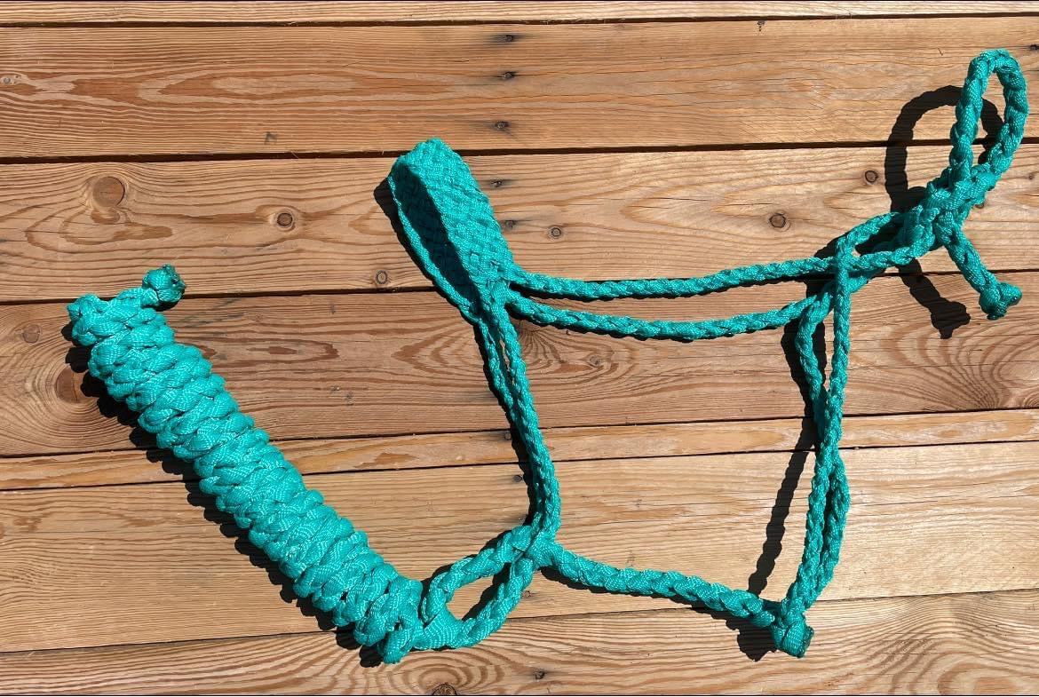 Turquoise Muletape Halter