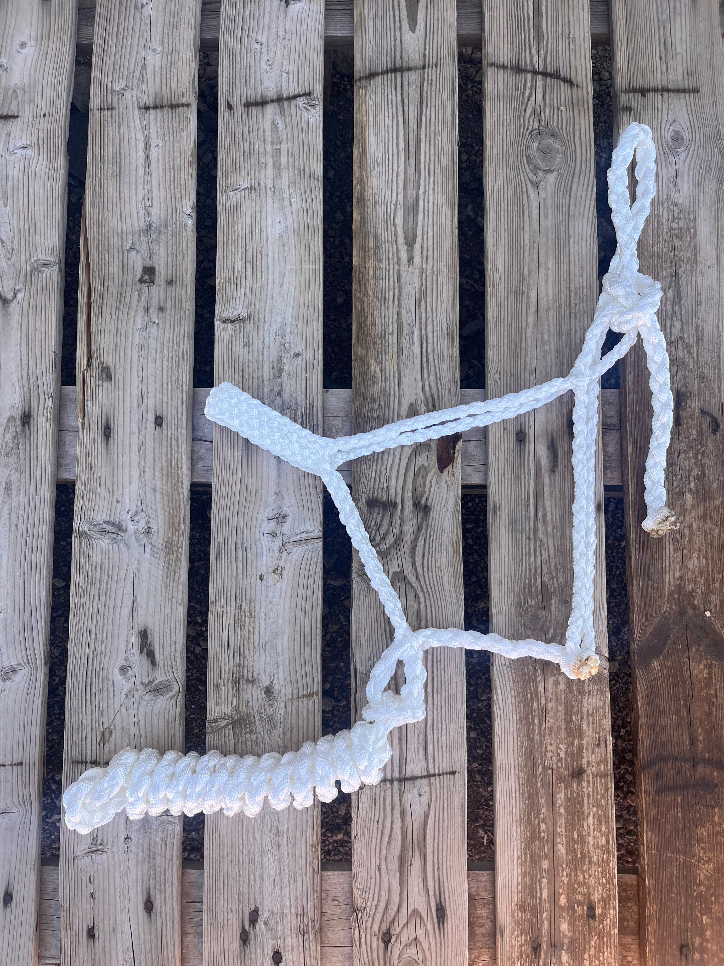 White Muletape Halter