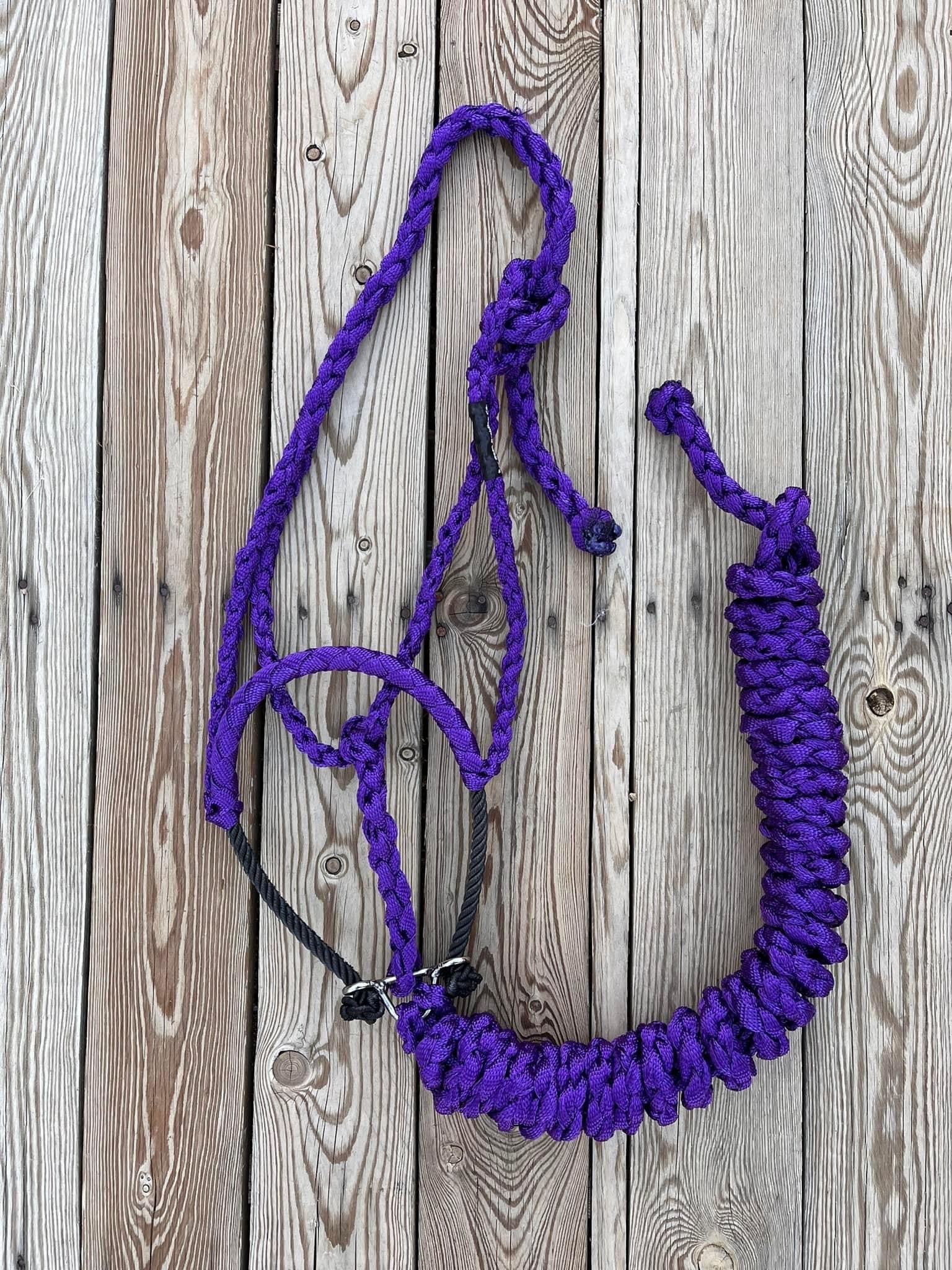 Custom Purple Lariat Halter