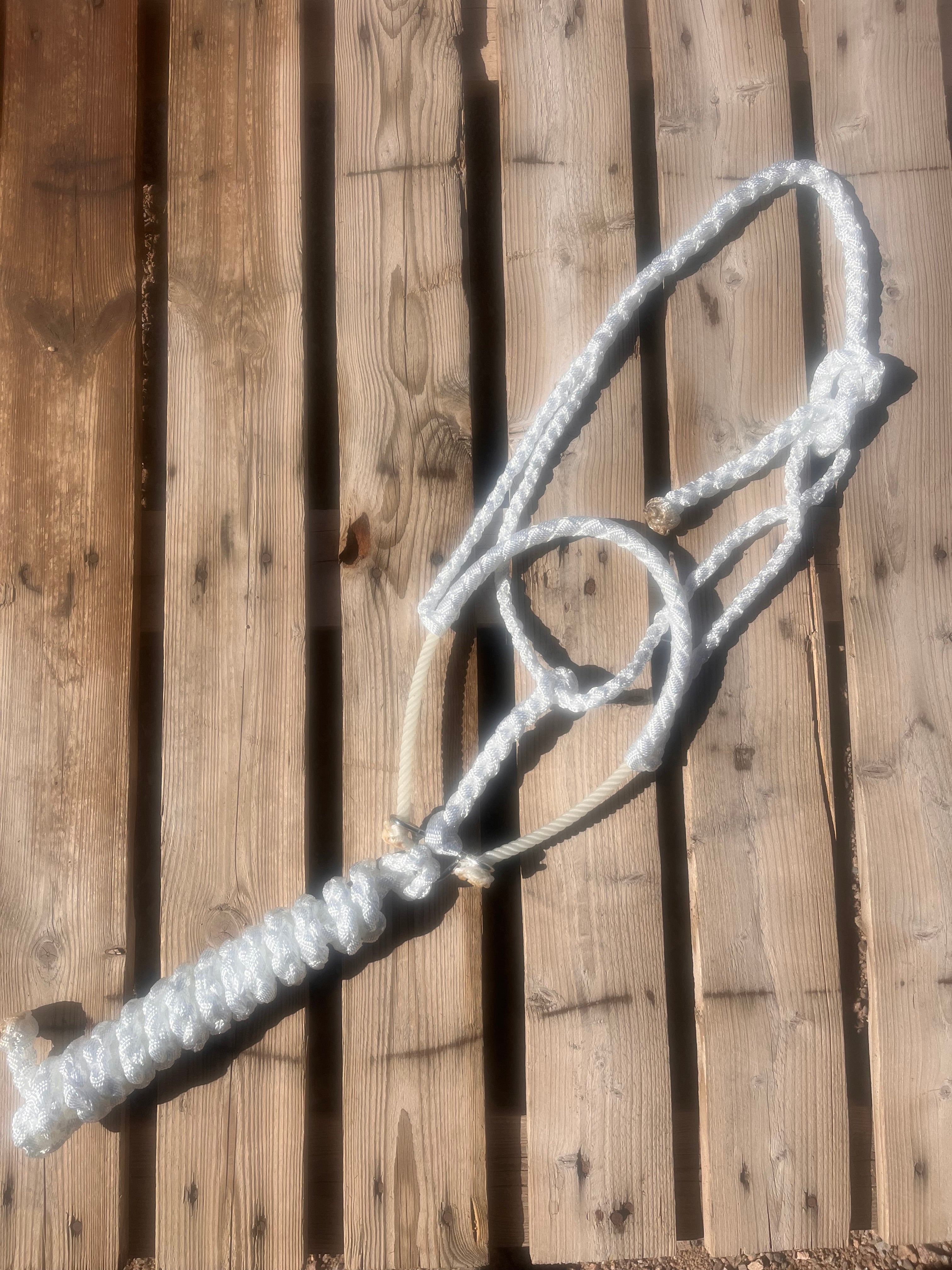 White Lariat Halter