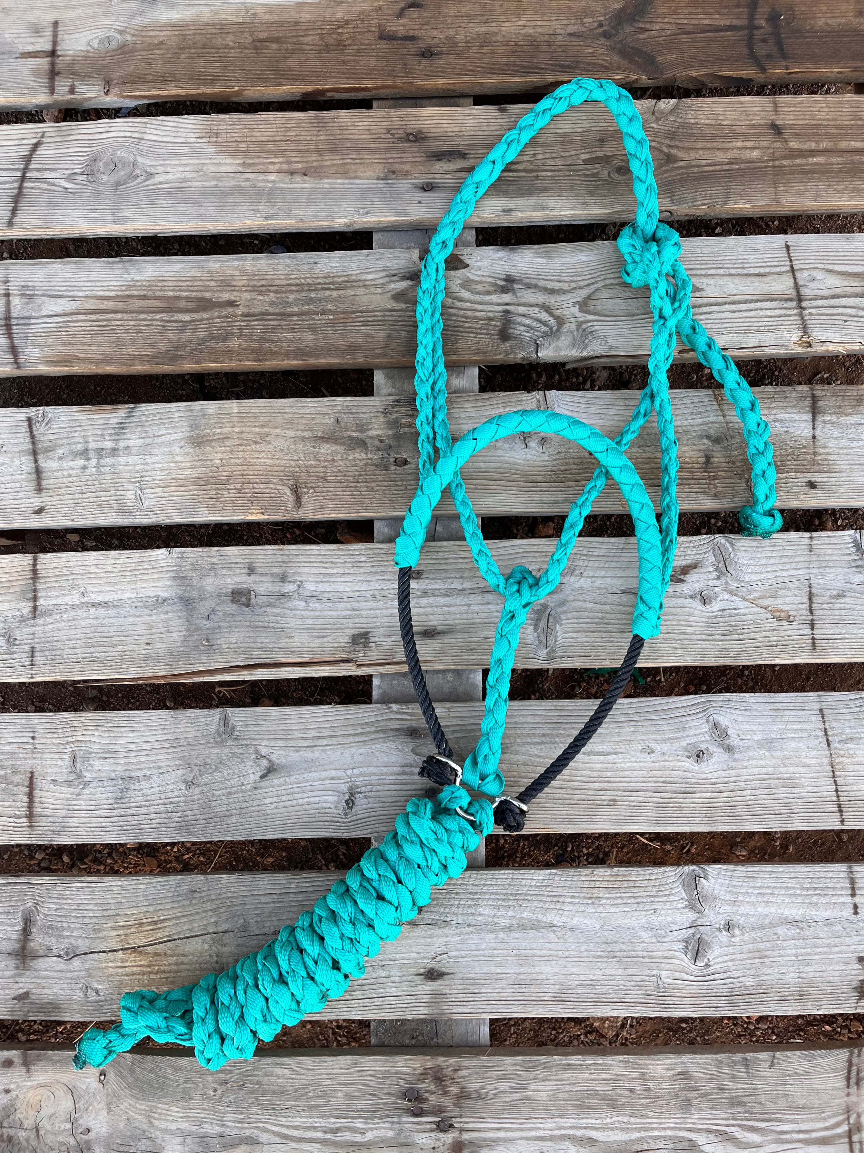 Custom Turquoise Lariat Halter