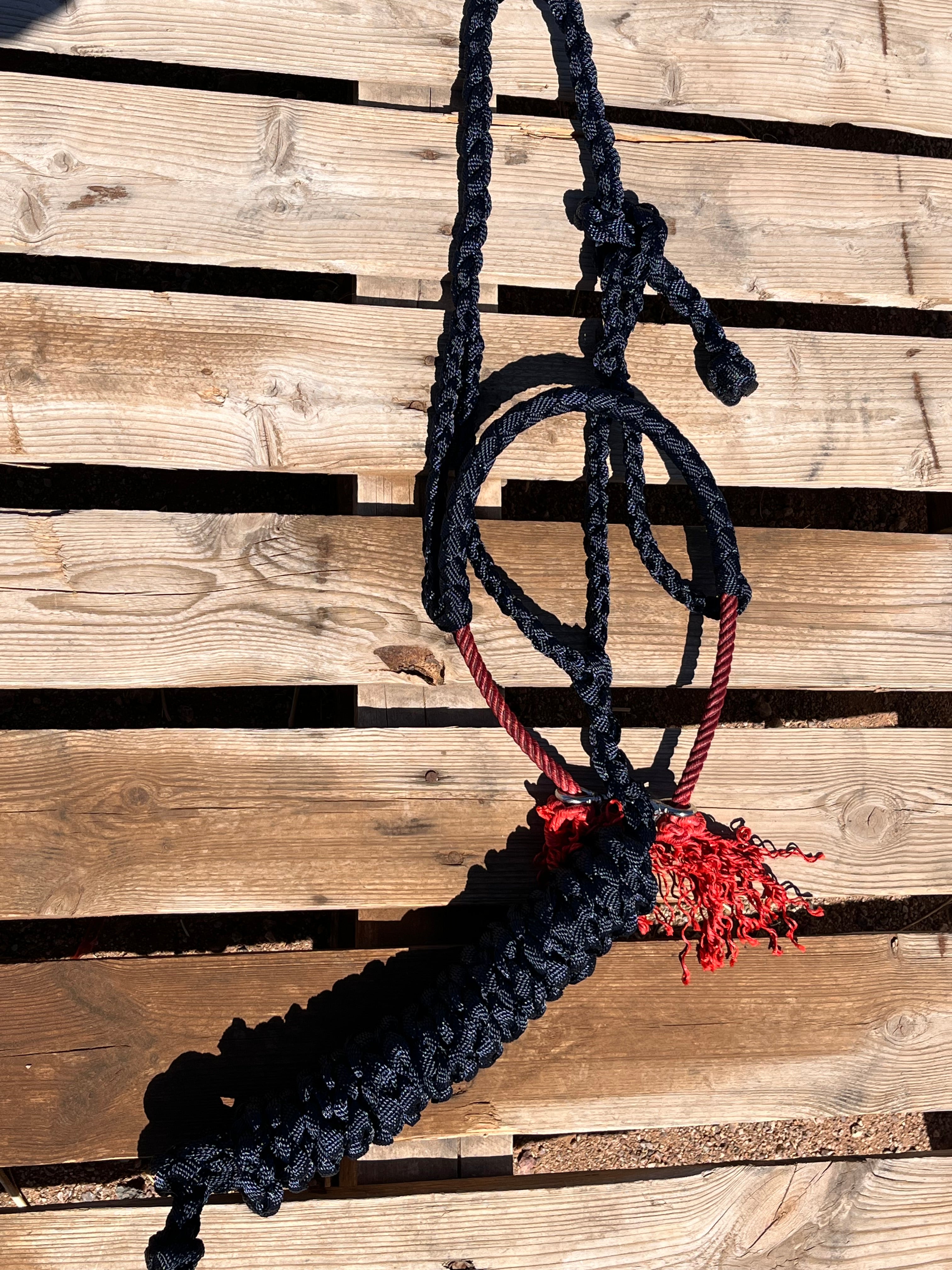 Custom Navy Blue Lariat Halter