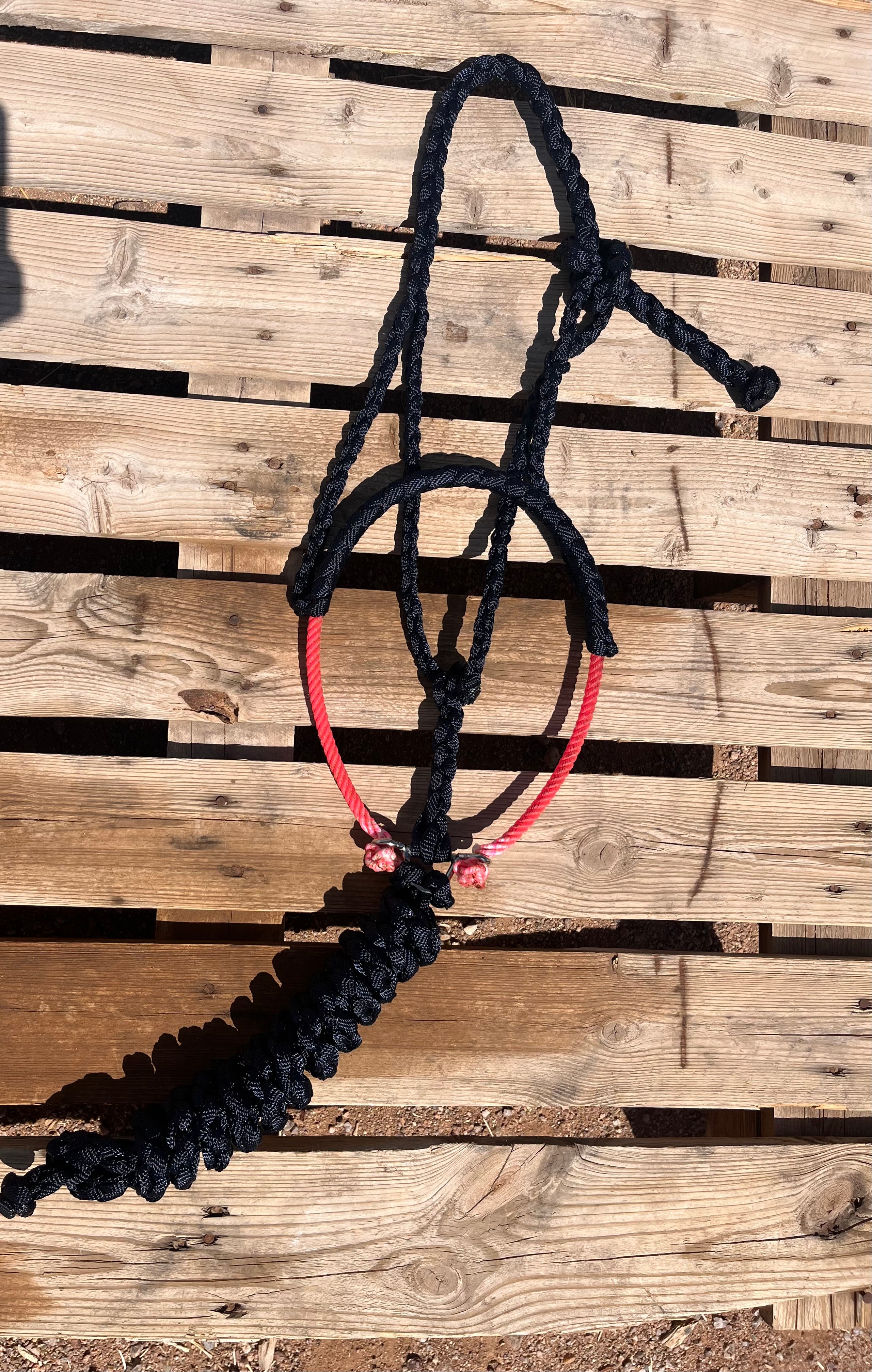 Custom Black Lariat Halter