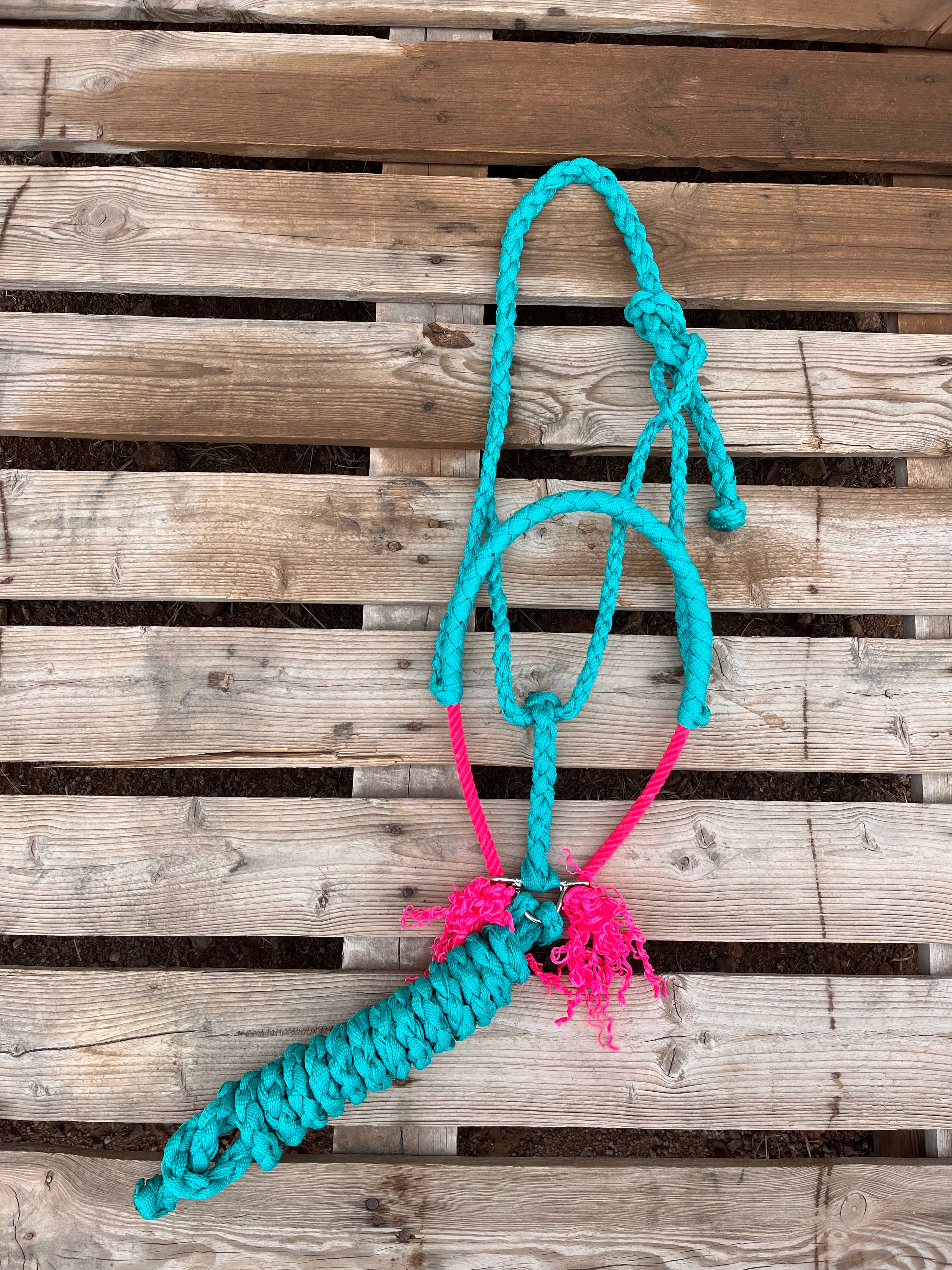 Custom Turquoise Lariat Halter