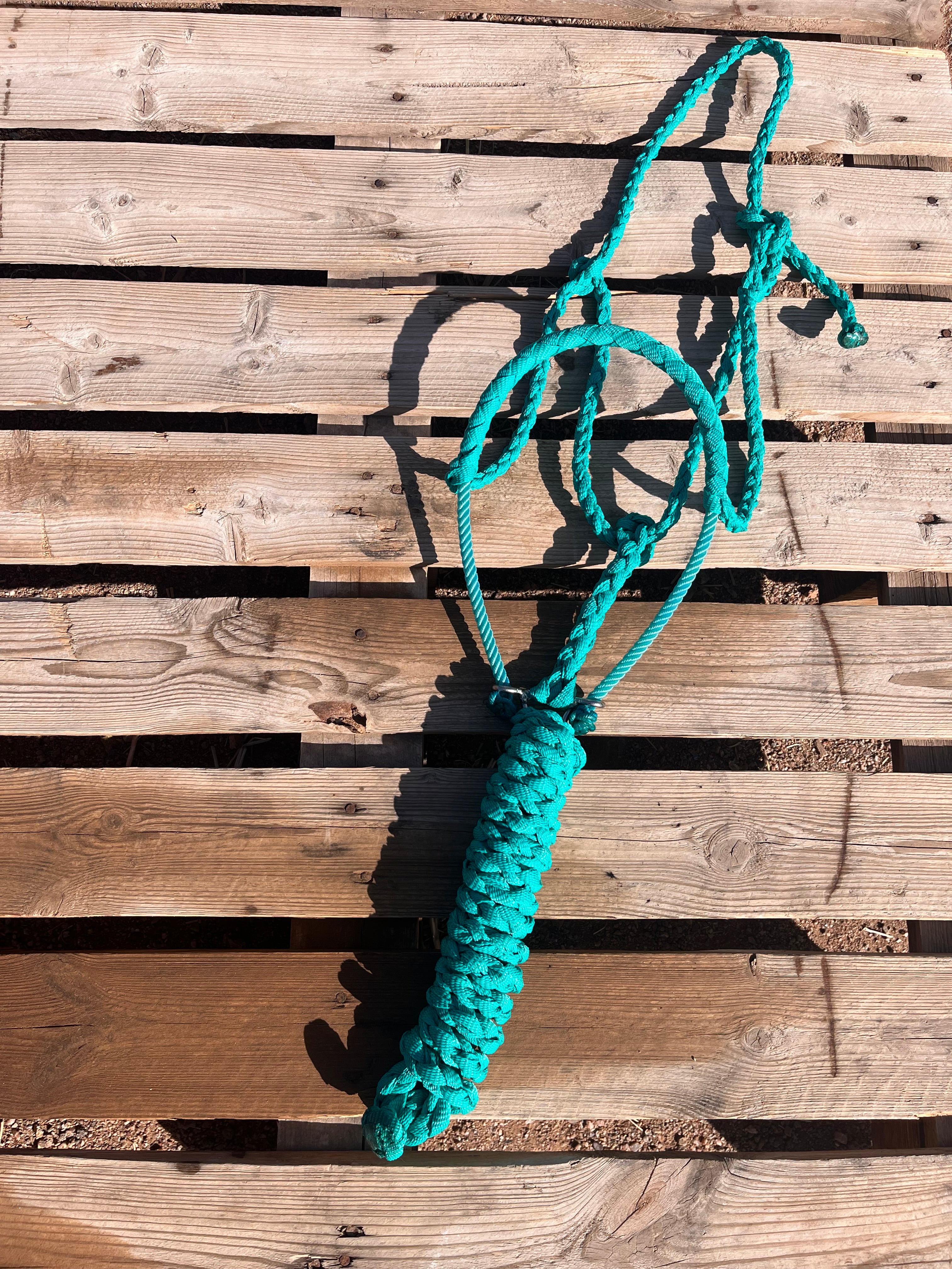 Custom Turquoise Lariat Halter