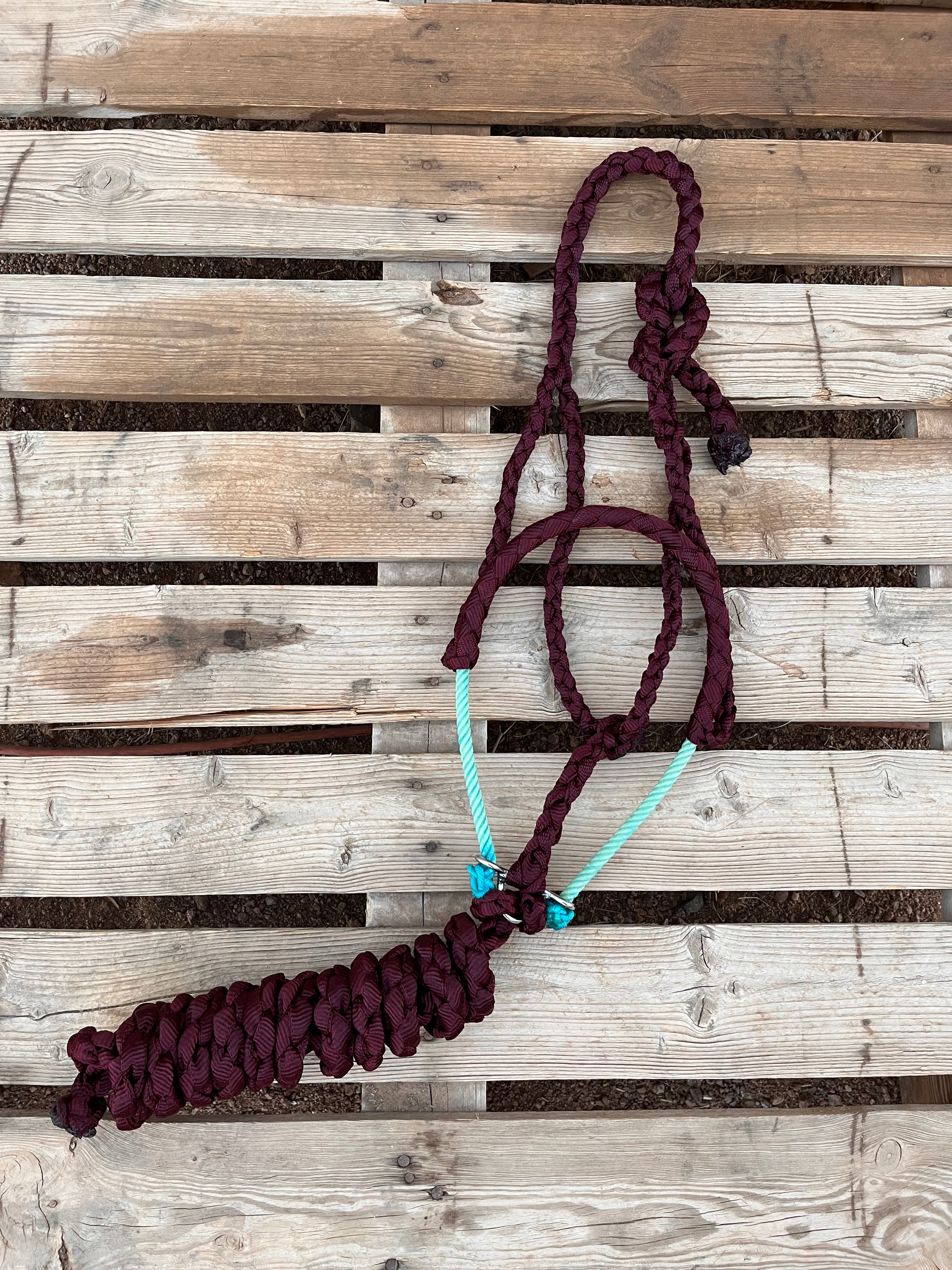 Custom Burgundy Lariat Halter