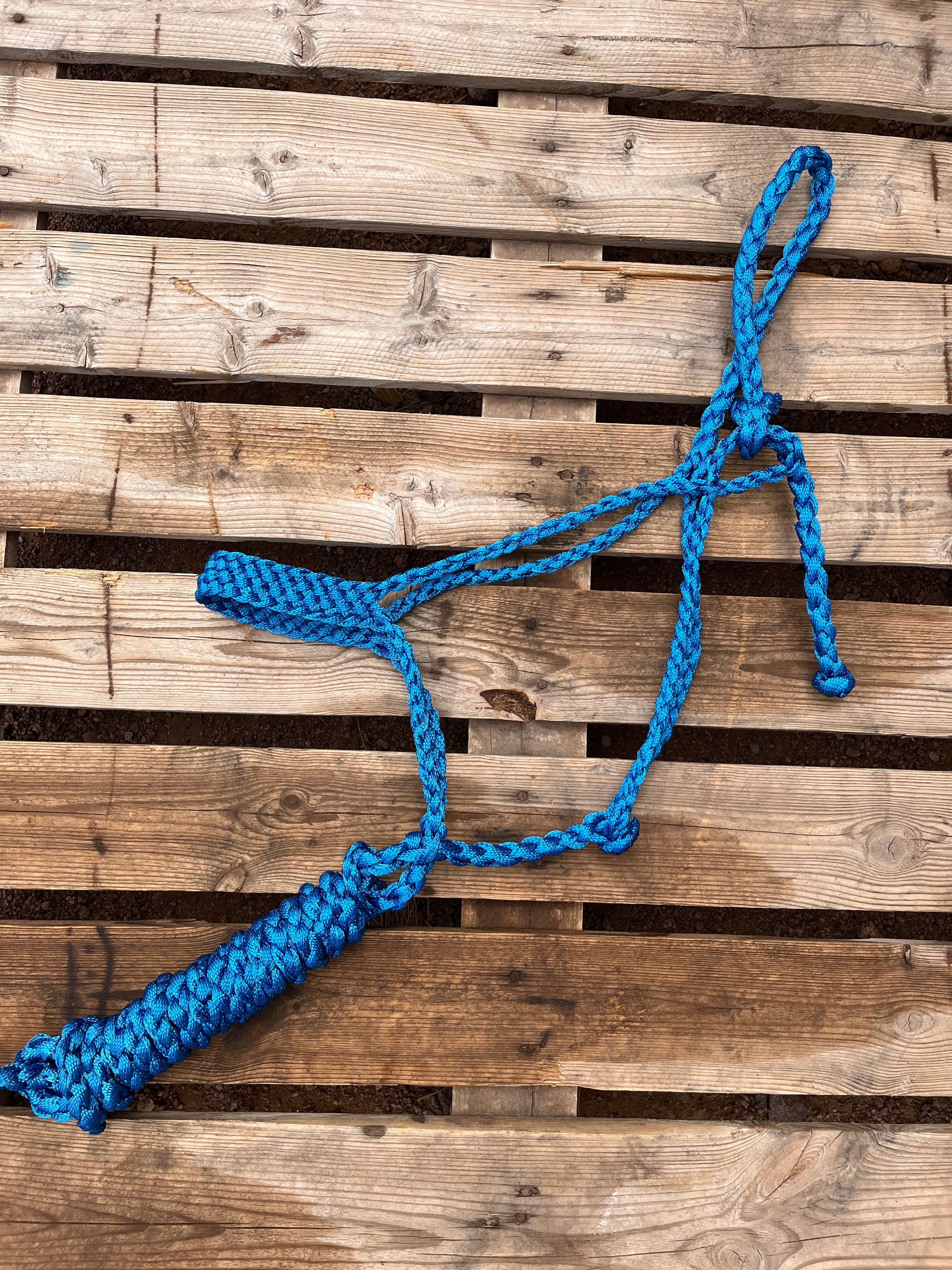 Royal Blue Blue Custom Muletape Halter