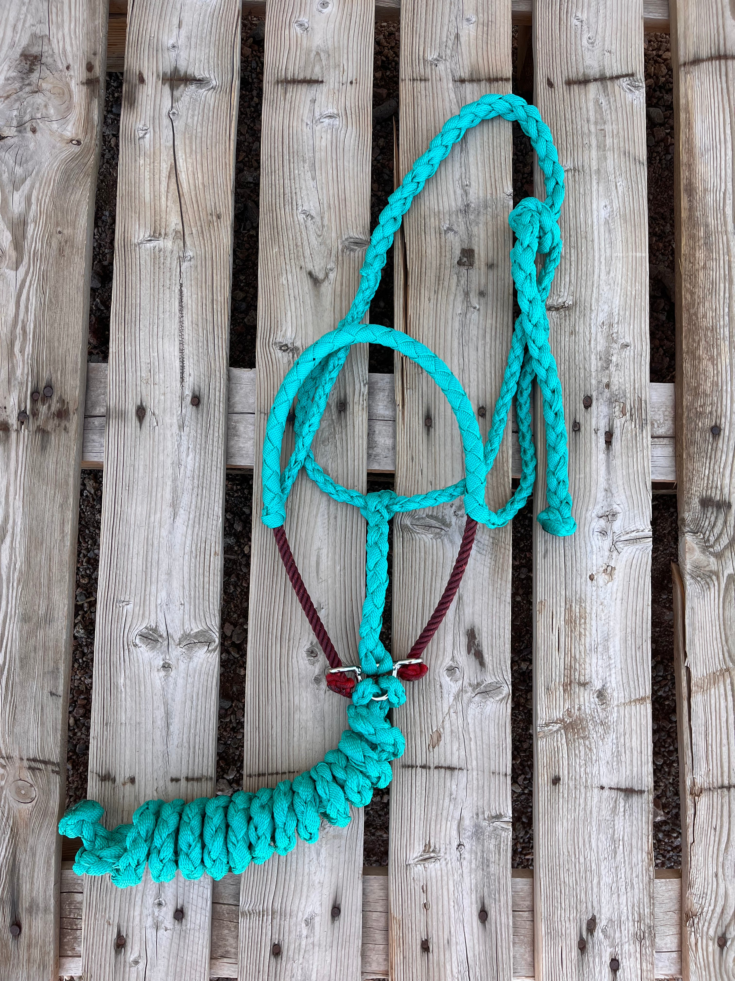 Custom Turquoise Lariat Halter