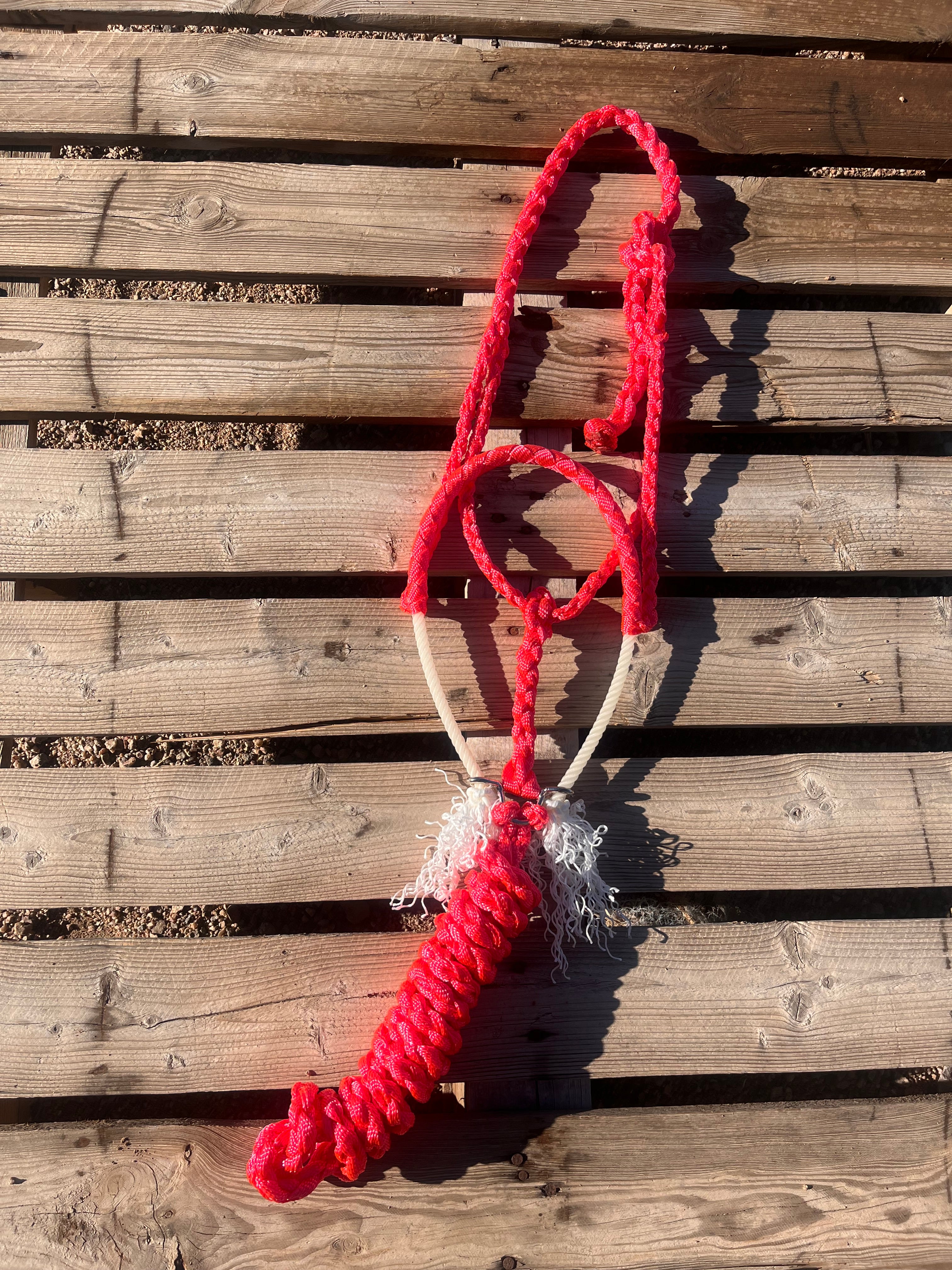 Custom Hot Pink Lariat Halter