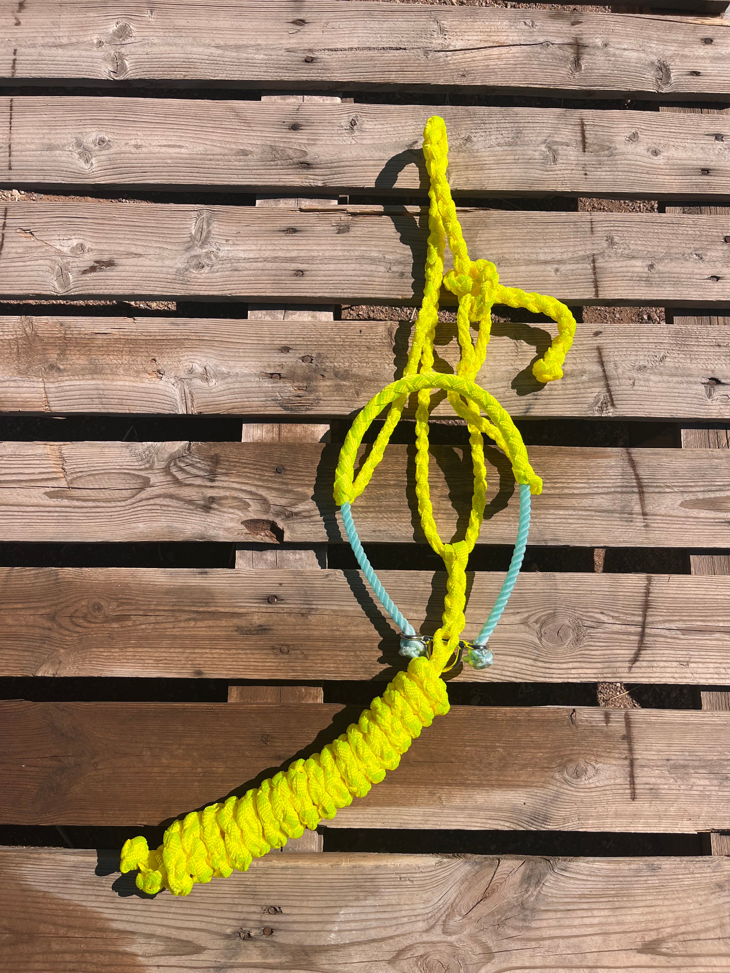 Custom Neon Yellow Lariat Halter