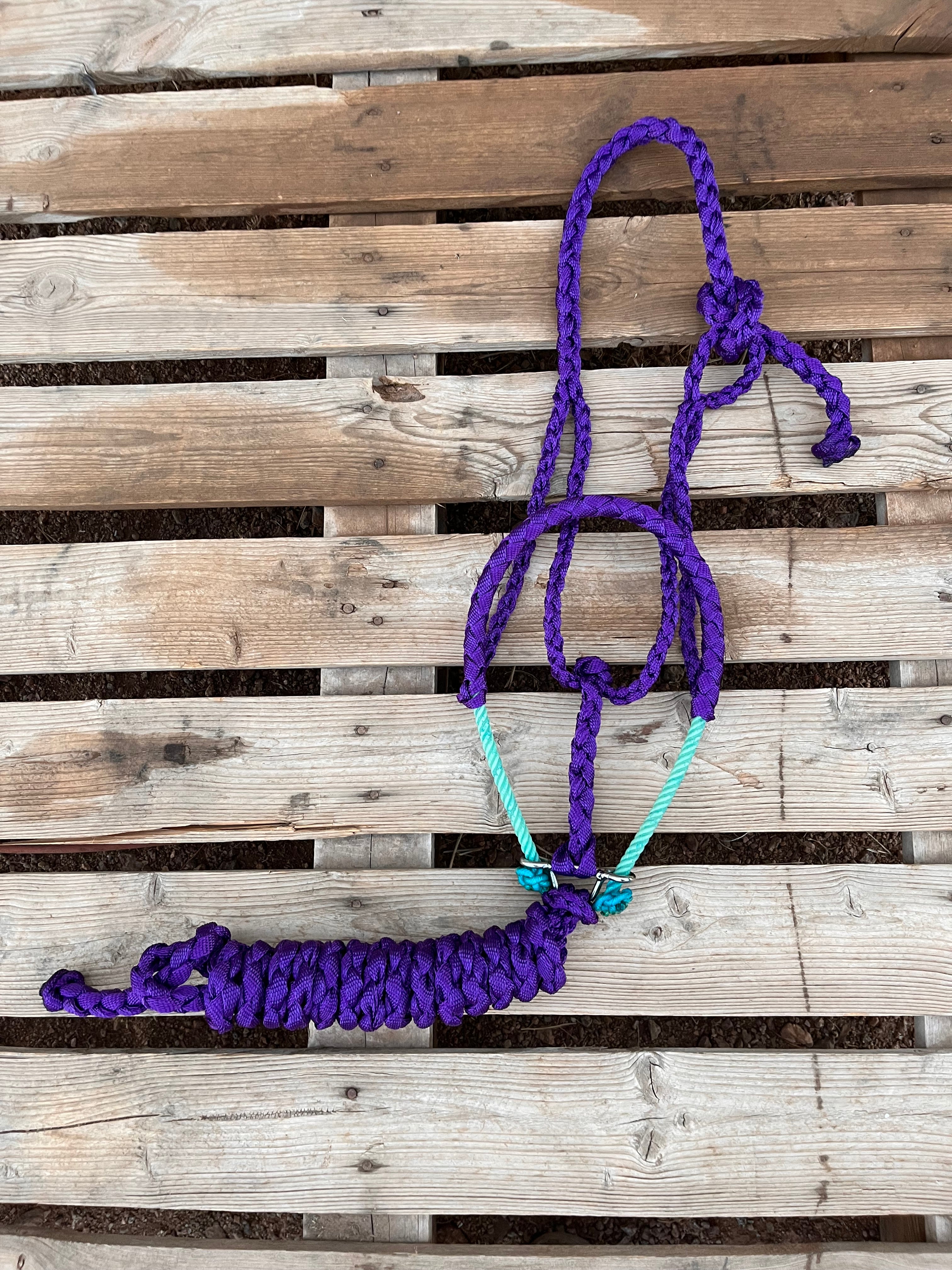 Custom Purple Lariat Halter