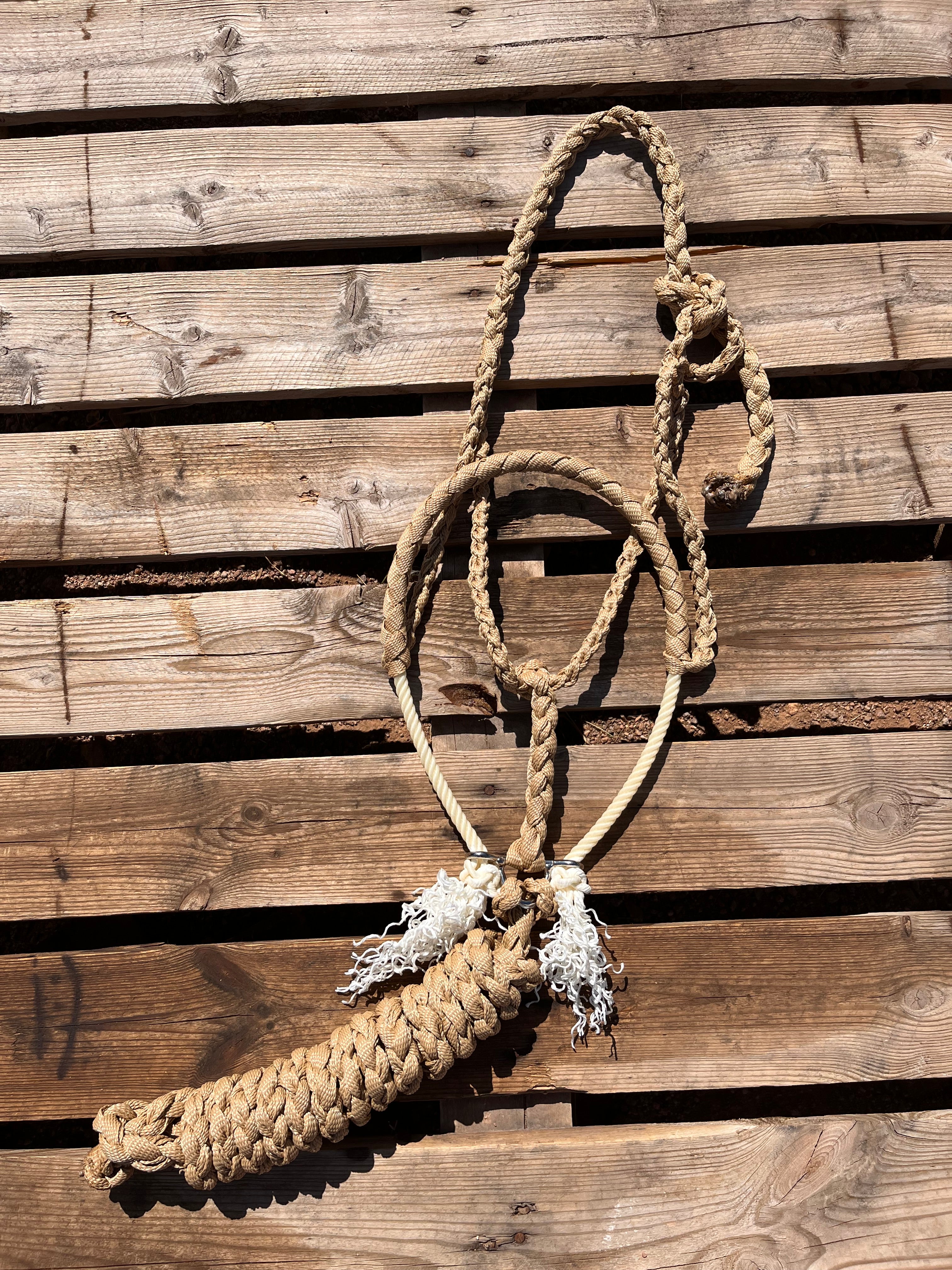 Custom Tan Lariat Halter