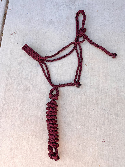 Burgundy Custom Muletape Halter