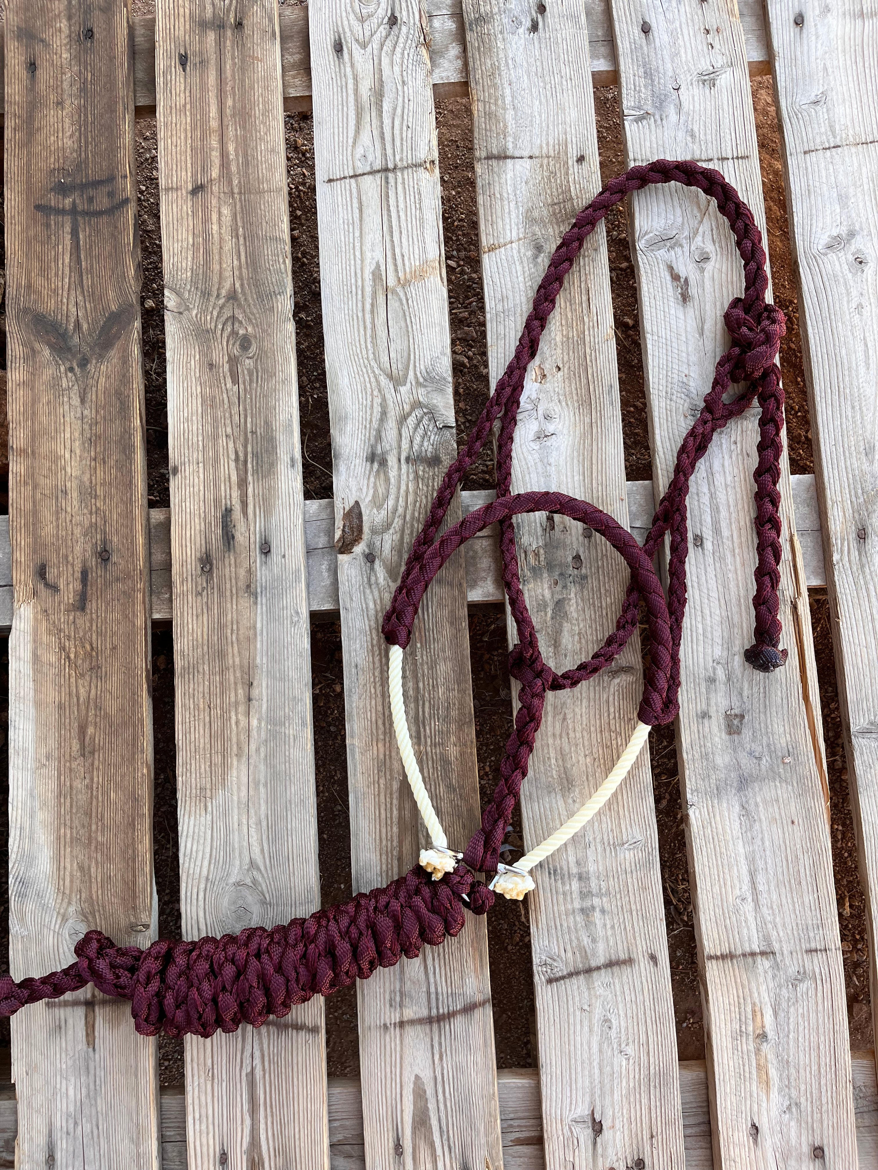 Custom Burgundy Lariat Halter