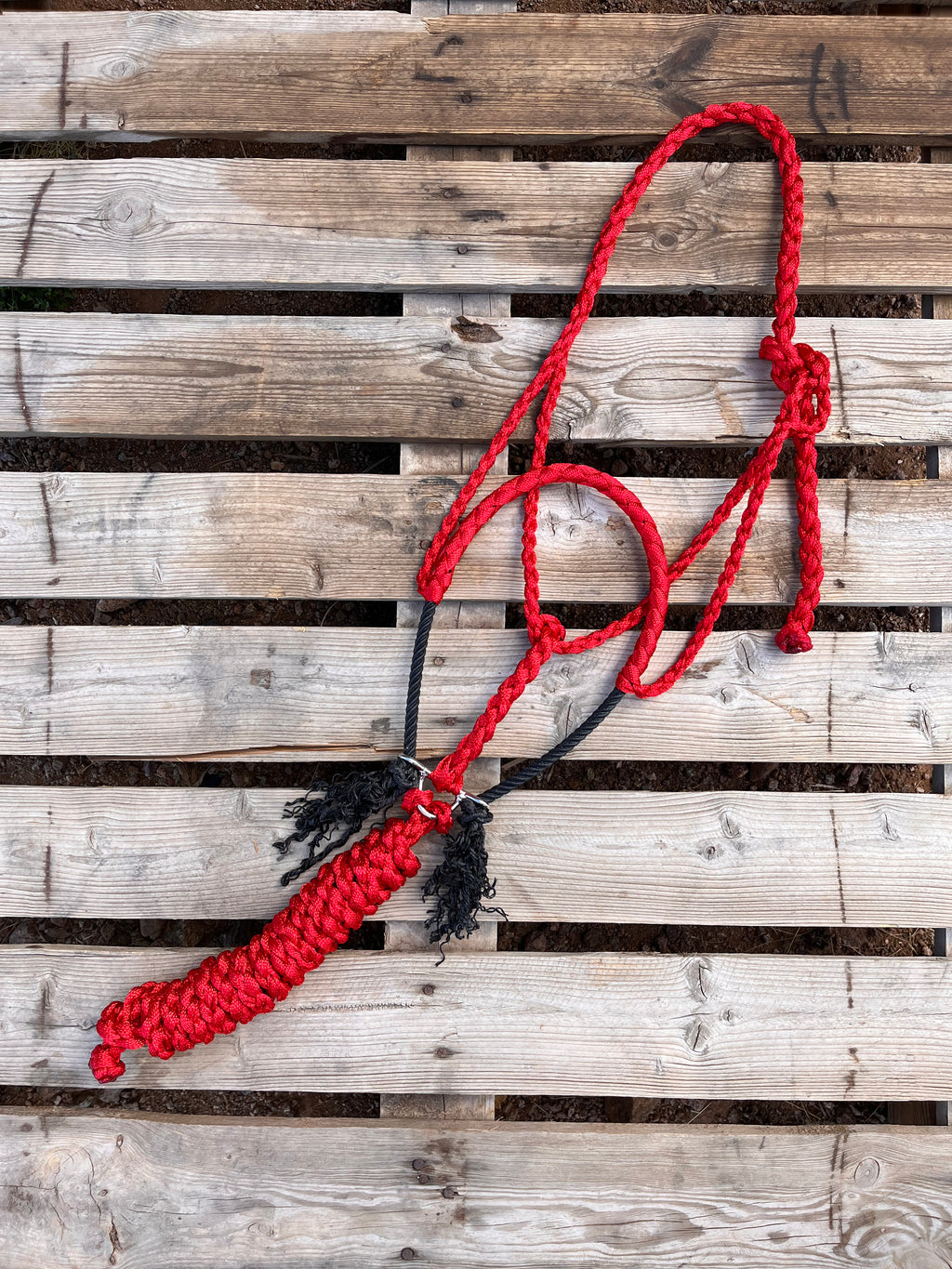 Custom Red Lariat Halter