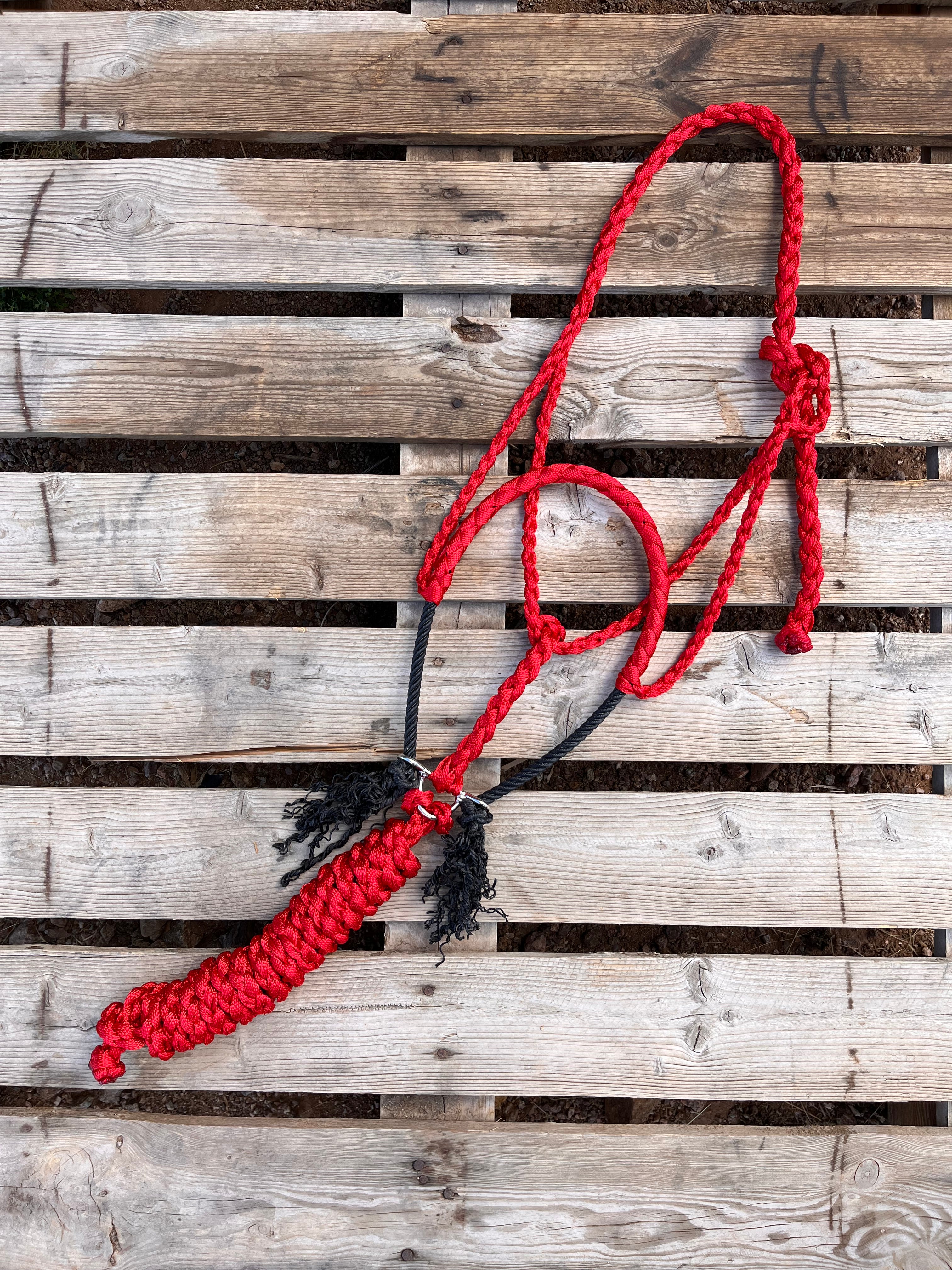 Custom Red Lariat Halter