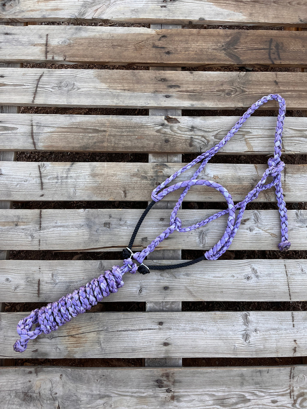 Custom Lavender Lariat Halter