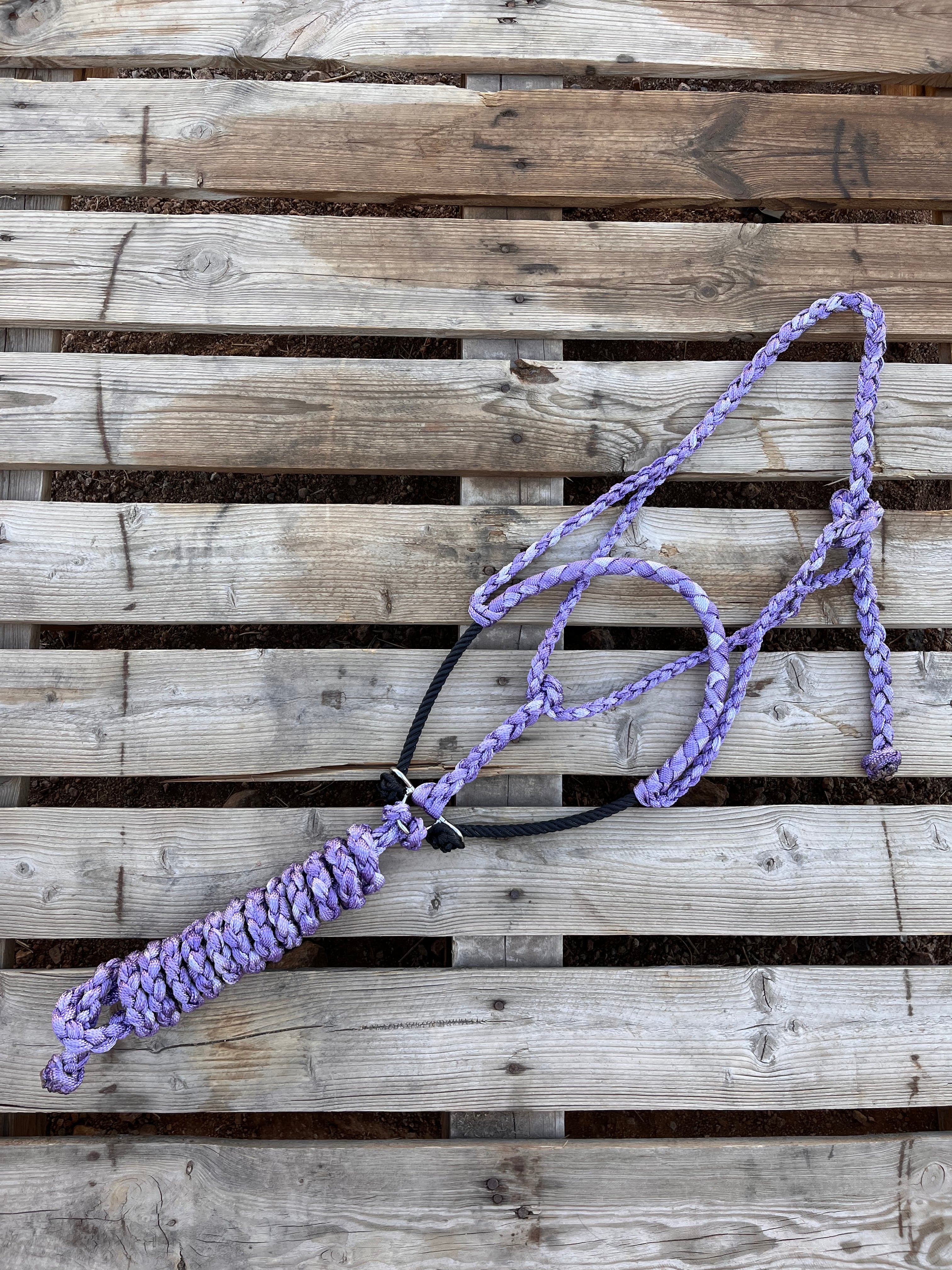 Custom Lavender Lariat Halter
