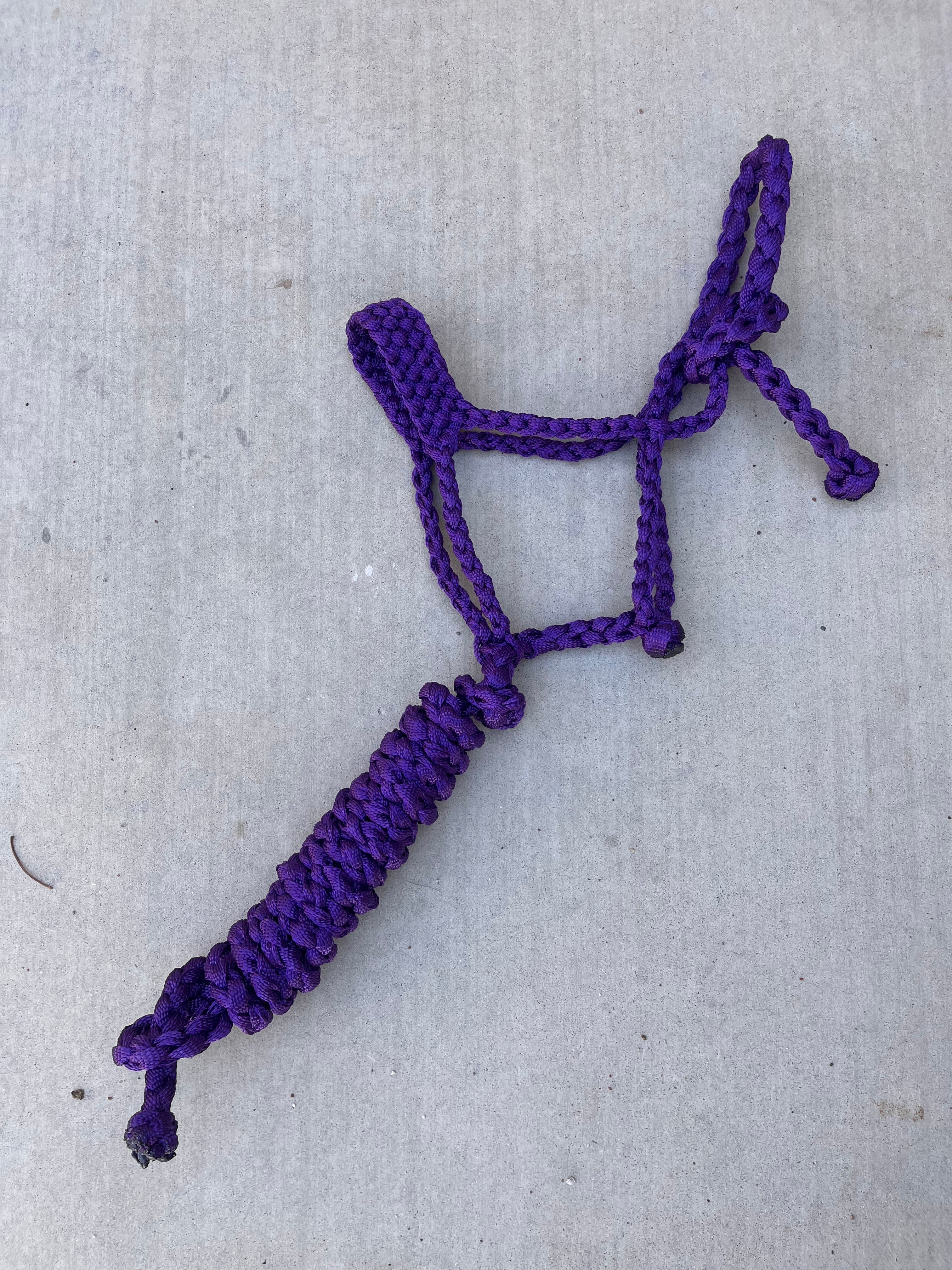Purple Custom Muletape Halter