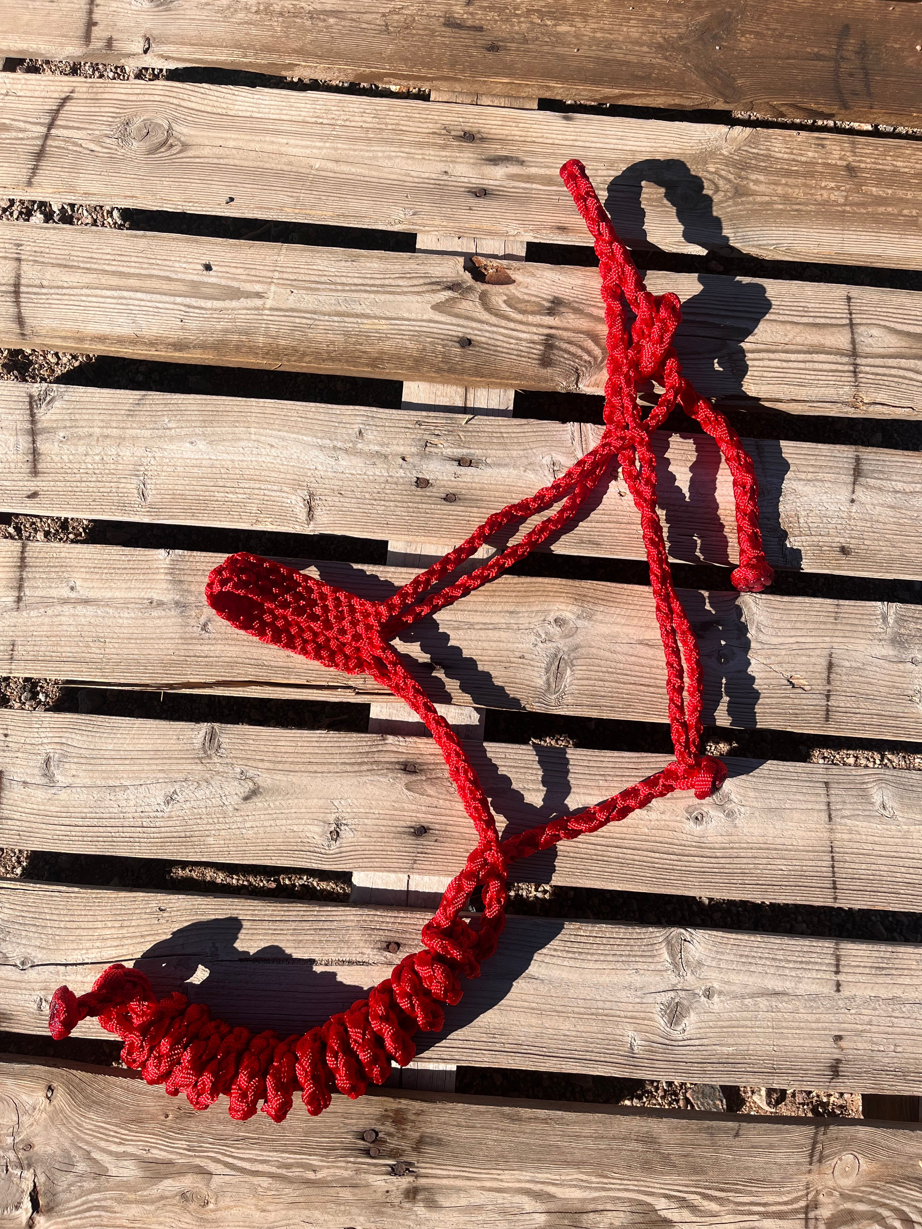 Red Custom Muletape Halter